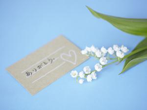 ガードルは品質重視で特許取得のこちら