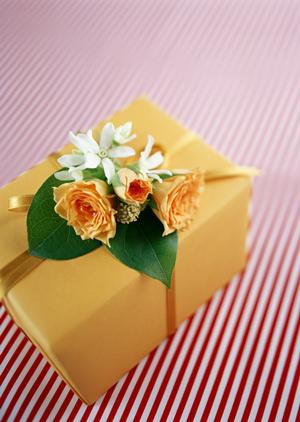 安心・信頼の銀貨販売店ガイド｜高品質コインを選ぶための完全ポイント