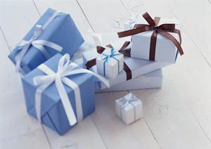 「愛するペットの健康を守る！獣医師推奨の療法食を簡単に通販で手に入れる方法」